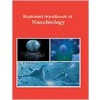 Illustrated Handbook of Nanobiology